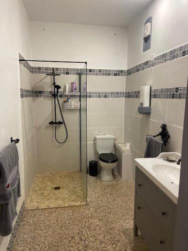 une salle de bain avec une douche, des toilettes et un lavabo dans l'établissement Domaine Epervier, à Sorgues