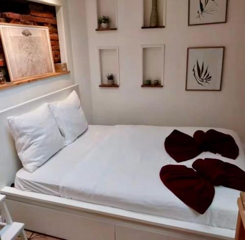 Charmant duplex au cœur de Toulouse