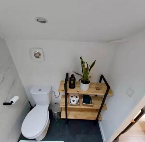 une salle de bains avec des toilettes et une plante sur une étagère dans l'établissement Charmant duplex au cœur de Toulouse, à Toulouse