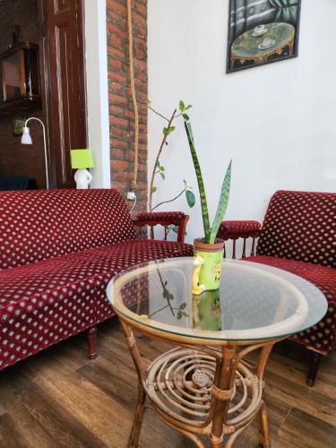a table with a potted plant on it in a living room at City Guli in Tbilisi City