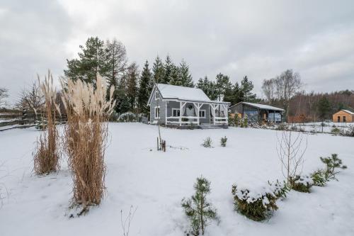 a house in a snow covered yard with trees at Pod Żurawiem Urokliwy domek na Kaszubach in Michalin