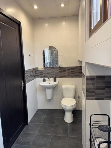 a bathroom with a toilet and a sink at Apartment 17 in Mtskheta