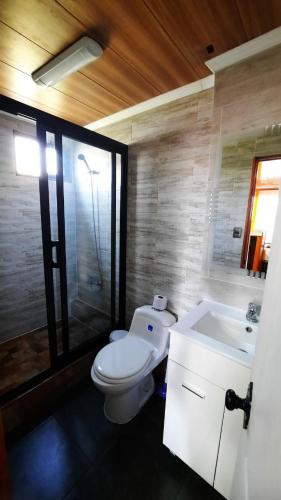 a bathroom with a toilet and a sink at Apart Hotel Vicencio Iquique in Iquique