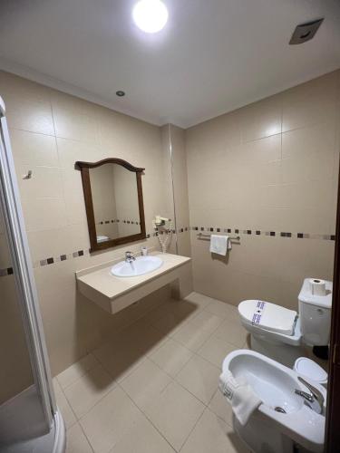 a bathroom with a sink and a toilet and a mirror at Hotel Restaurante Dama de Baza in Baza