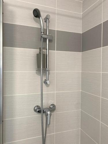 une douche avec pommeau de douche dans une salle de bain dans l'établissement Modern apartment 10 min from Disneyland, à Coupvray