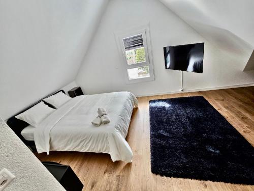 a bedroom with a bed and a flat screen tv at Cosy private room in Lausanne center in Lausanne