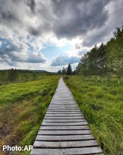 a wooden path in the middle of a field at La Tanière du Lac in Robertville