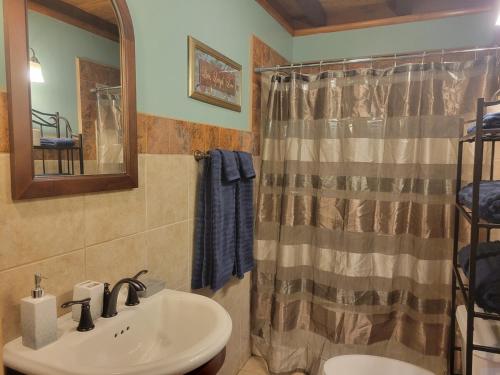 a bathroom with a sink and a shower curtain at Mountainside Cabin, Secluded, Hot Tub, Lake Accessible in Rockbridge