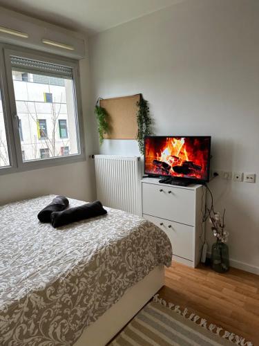 a bedroom with a bed and a tv and a fireplace at Charmant studio à 20min de Paris in Créteil