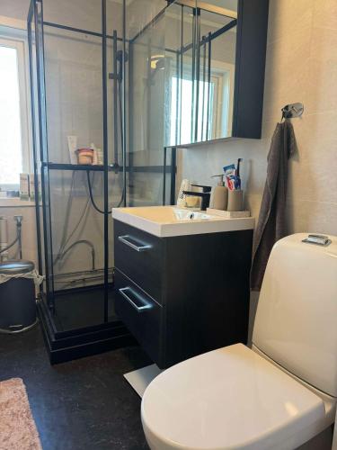 a bathroom with a shower and a toilet and a sink at Arctic Haven Apartment in Berlevåg