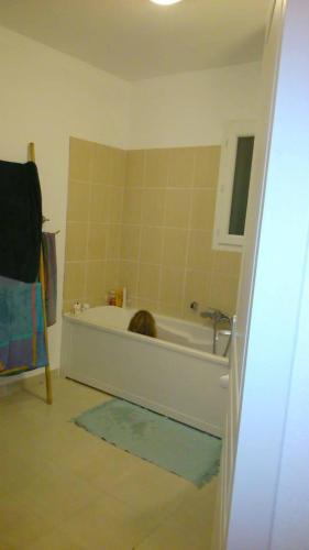 La salle de bains est pourvue d'une baignoire avec un chat. dans l'établissement VILLA T3 bord de mer - vue mer à 500 m de la plage- piscine chauffée A CASETTA DI A SPIAGGIA, à Cervione