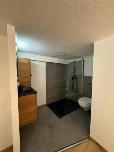 une salle de bains vide avec toilettes et lavabo dans l'établissement Duplex Place du Théâtre Dijon Centre, à Dijon