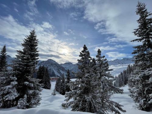 a group of trees in the snow with mountains at Chalet Im Wieselti in Langwies