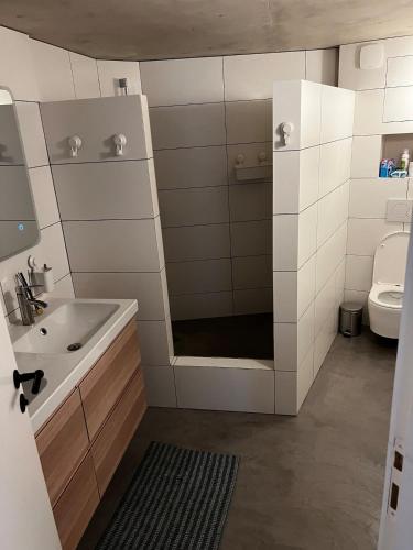 une salle de bain avec une douche, un lavabo et des toilettes dans l'établissement Jolie maison de village, à Bormes-les-Mimosas