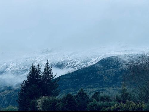 a view of a mountain with snow and trees at Athol Country Bed and Breakfast in Athol
