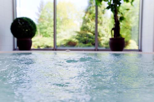 a pool of water in a room with potted plants at Hotel Ameliówka in Masłów