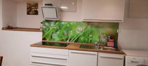 a kitchen with a fish tank on the counter at Karolingerweg in Lauterhofen