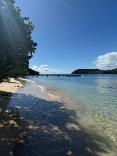 a beach with a pier in the water at Luxury Waterfront Villa 431 F in Jolly Harbour