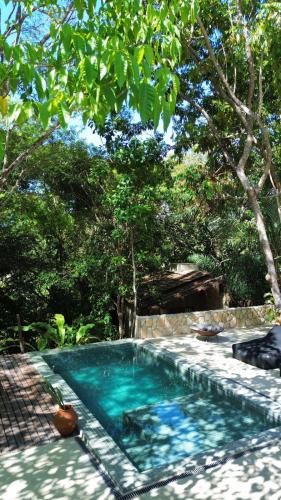 a swimming pool in a yard with trees at SITIO VILLA DA MATA in São Miguel dos Milagres