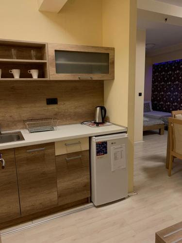 Kuchyň nebo kuchyňský kout v ubytování Apartmani CENTAR- Smederevo