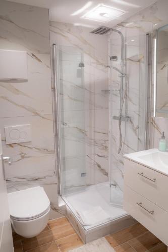 a bathroom with a shower and a toilet and a sink at Ferienwohnung Clara in Sonthofen