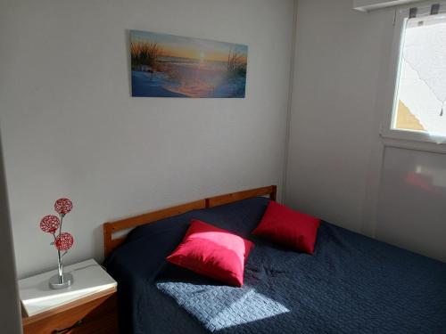 le cap d'agde, Port Raphaël, apt 5 pers, clim, piscine
