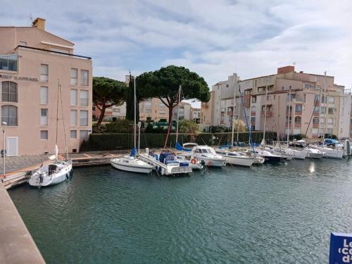 le cap d'agde, Port Raphaël, apt 5 pers, clim, piscine