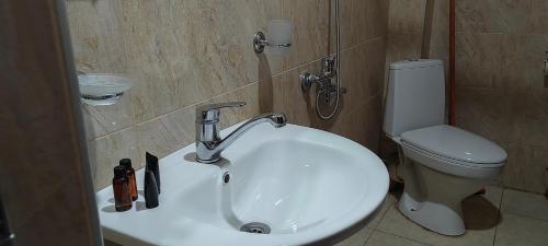 a bathroom with a white sink and a toilet at Hotel Svanseti in Mestia