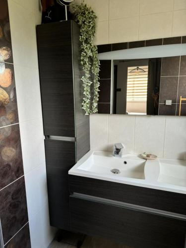 une salle de bain avec un lavabo et un miroir dans l'établissement Luxury villa, à Saint-Sauveur