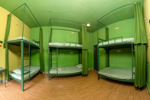 three bunk beds in a room with green walls at The Snail Haven Pub And Stay - Con Dao in Con Dao