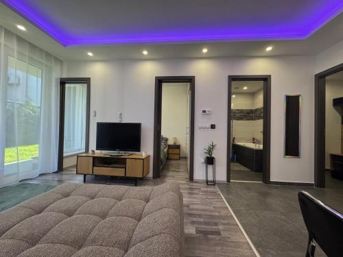 a living room with a couch and a tv at Oasis Residence Hajdúszoboszló in Hajdúszoboszló