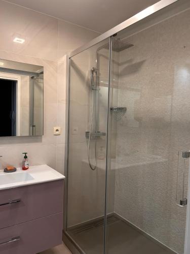 une salle de bain avec douche et lavabo dans l'établissement Appartement T2 dans une résidence avec piscine, à Toulouse