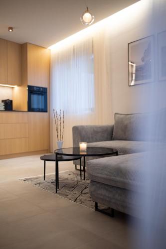 Kuchyň nebo kuchyňský kout v ubytování Apartment Lidija
