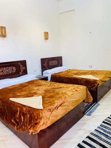 2 letti in una camera d'albergo con coperte marroni di Adrar nshal ادرار نشال a Siwa