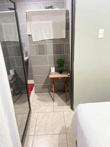a bathroom with a small table with a potted plant at Oteng Lifestyle BnB in Rustenburg