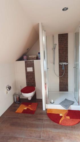 a bathroom with a shower with a toilet and a sink at Alte Dorfschule am Elberadweg in Axien