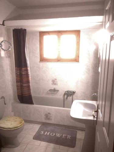 a bathroom with a shower and a toilet and a sink at Helmos Mountain View in Kértezi