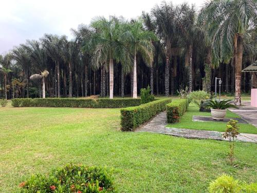 a park with palm trees and bushes and grass at Pousada Alpes Presidente Figueiredo in Presidente Figueiredo