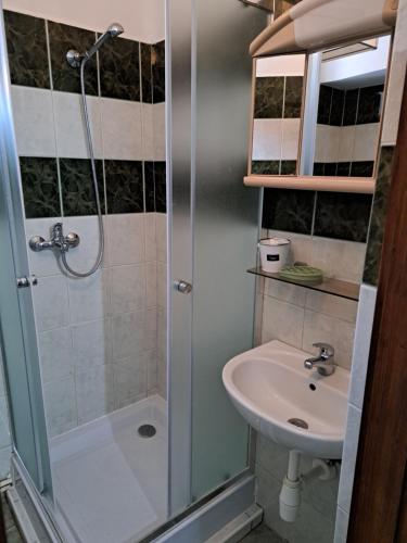 une salle de bain avec douche et lavabo dans l'établissement Zemplén-völgye Piroska Vendégház, à Füzérkomlós