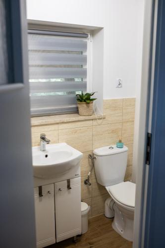 a bathroom with a toilet and a sink and a window at Ranczo Stare Objezierze in Moryń