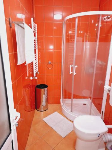 a bathroom with a shower and a toilet at RA Studio Băile Olănești in Livadia