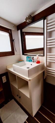 une salle de bain avec un lavabo et un miroir dans l'établissement Odyssée gîte sur Péniche, à Saint-Valery-sur-Somme