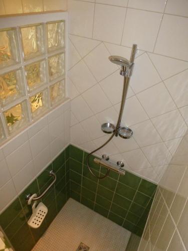 La salle de bains est pourvue d'une douche avec du carrelage vert et blanc. dans l'établissement D1 Very nice studio of 1 à 4 pers 3 stars WiFi, à Le Tholy
