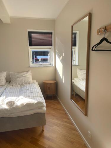 a bedroom with a bed and a mirror at Sus flat 6 in Ishøj