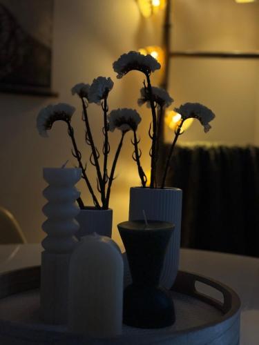Gambar di galeri bagi Emilys Apartment di Ioannina