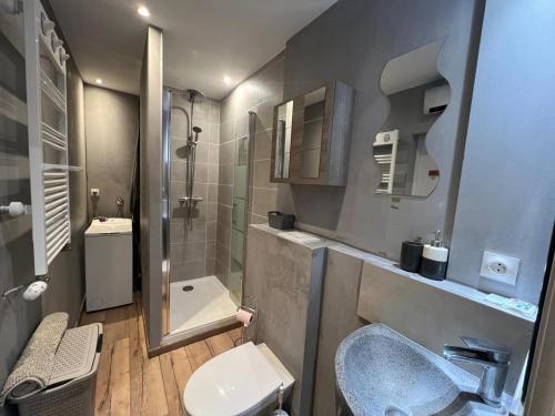 a bathroom with a toilet and a sink and a shower at F2 chez Cathy et Mike wittenheim in Wittenheim