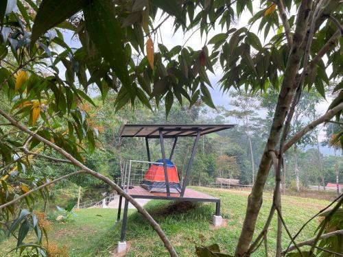 Κήπος έξω από το Camping bajo techo y con estilo