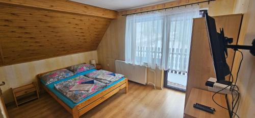 a small bedroom with a bed and a television at Gazdówka "Pod Pstrągiem" in Korbielów