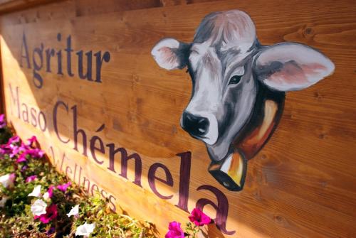 a sign with a picture of a cow on it at Agritur Maso Chemela in Cavalese