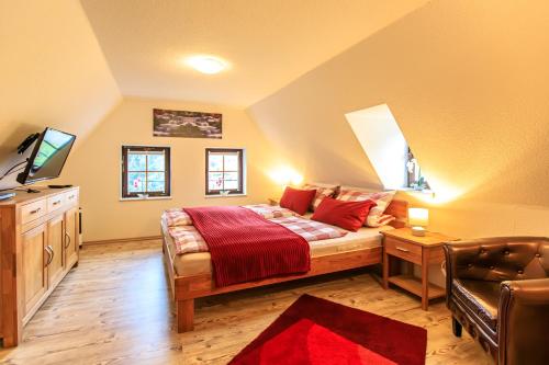 a bedroom with a bed and a tv and a couch at Ferienhaus Sissi - Wellness-Paradies in ruhiger Lage mit Whirlpool und Sauna in Großschönau